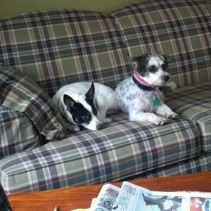 Meet your Posher, Monica